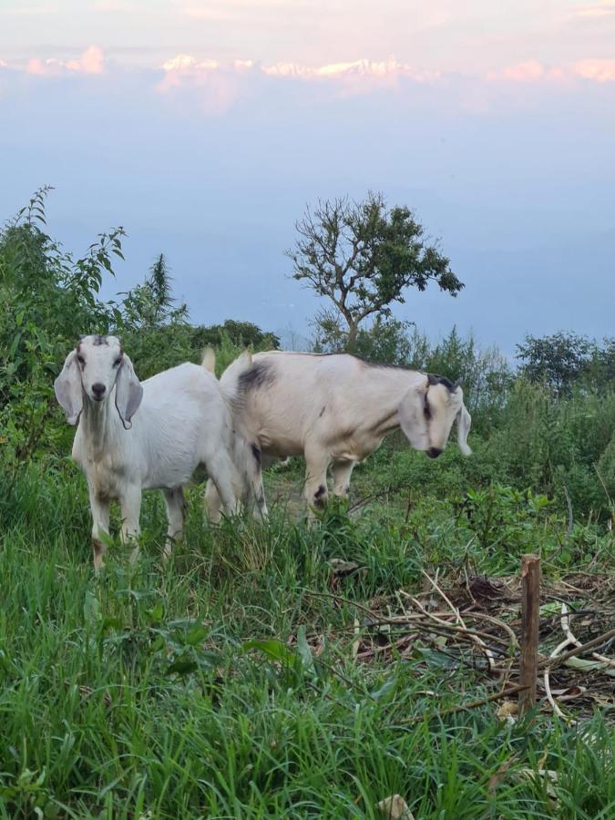 Nagarkot Trekkers Inn Екстериор снимка